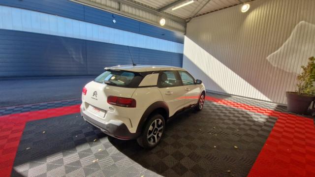 Citroen C4 Cactus image 1