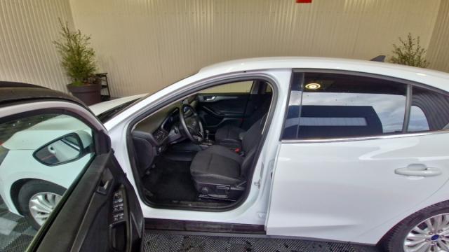 Ford Focus image 5