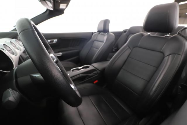 Ford Mustang image 6