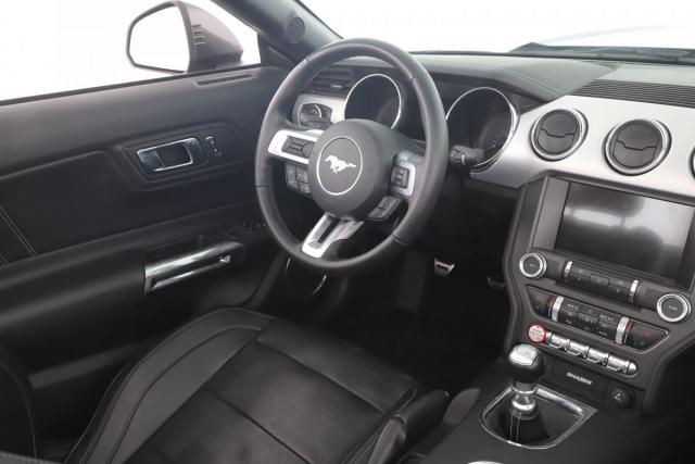 Ford Mustang image 1