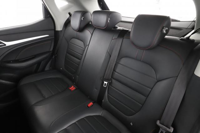 Mg Zs image 9