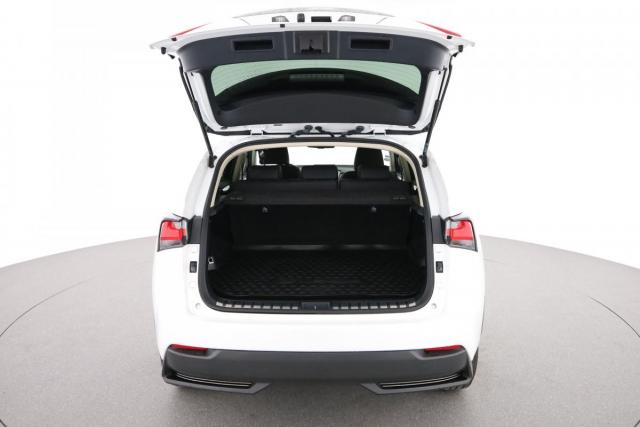 Lexus Nx image 6