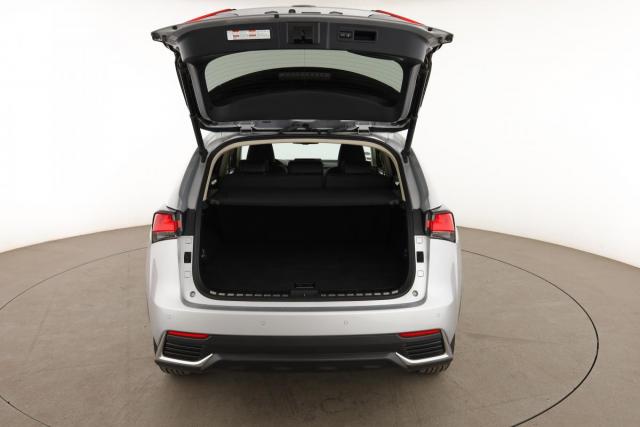 Lexus Nx image 6