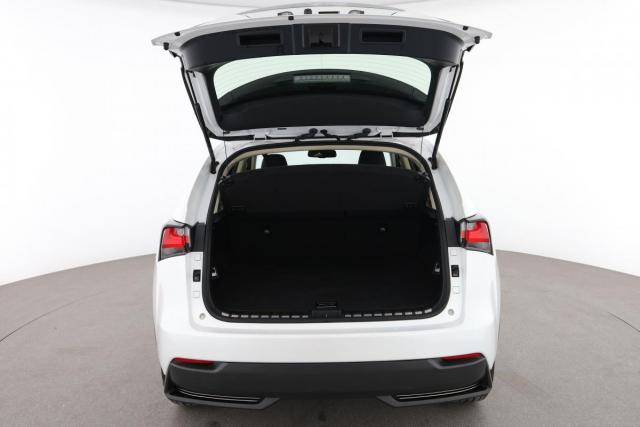 Lexus Nx image 9