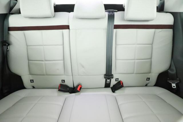 Citroen C4 Cactus image 1