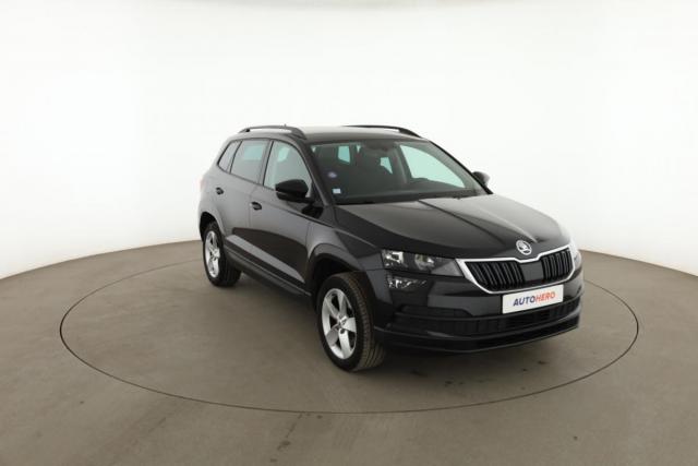 Skoda Karoq image 1