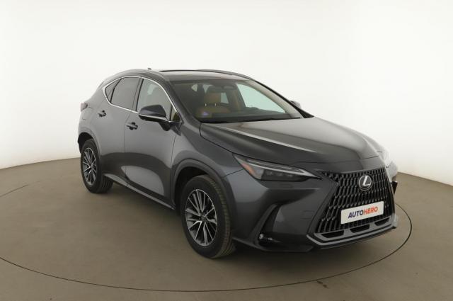 Lexus Nx image 1