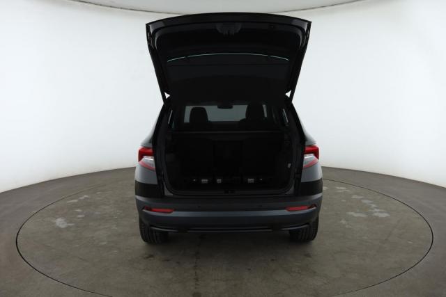 Skoda Karoq image 2