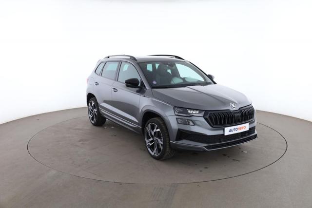 Skoda Karoq image 1