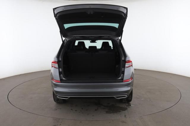 Skoda Kodiaq image 2