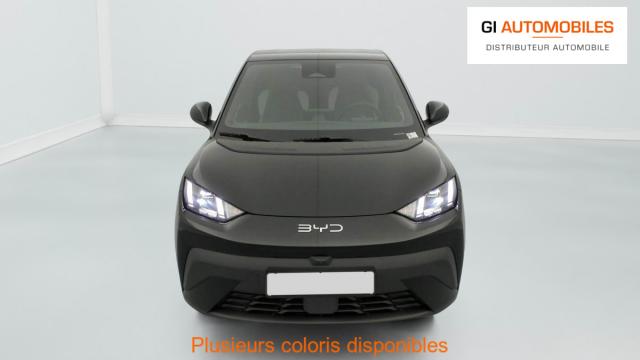 Byd Dolphin image 6