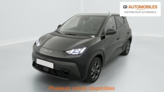 Byd Dolphin image 4