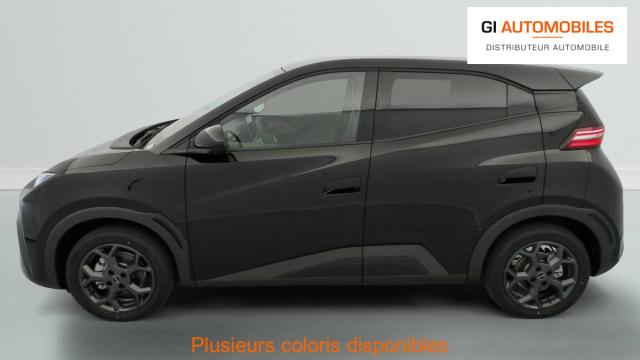 Byd Dolphin image 7