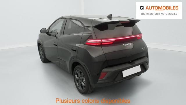 Byd Dolphin image 5