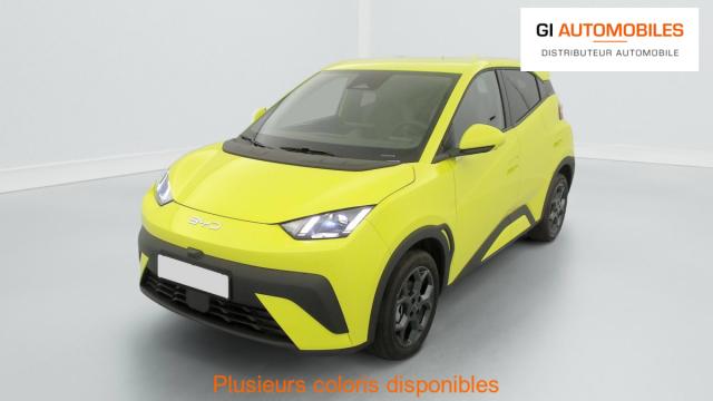 Byd Dolphin image 6