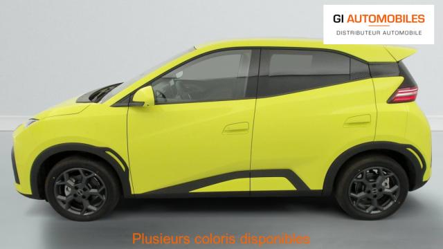 Byd Dolphin image 7