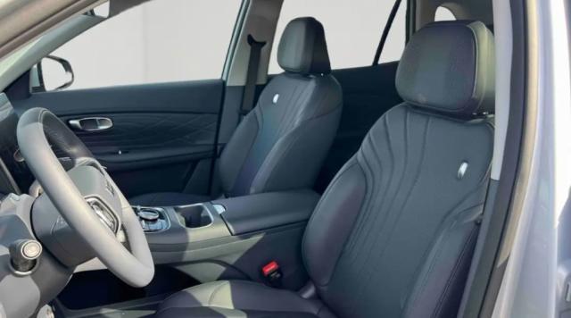 Geely Starray image 7