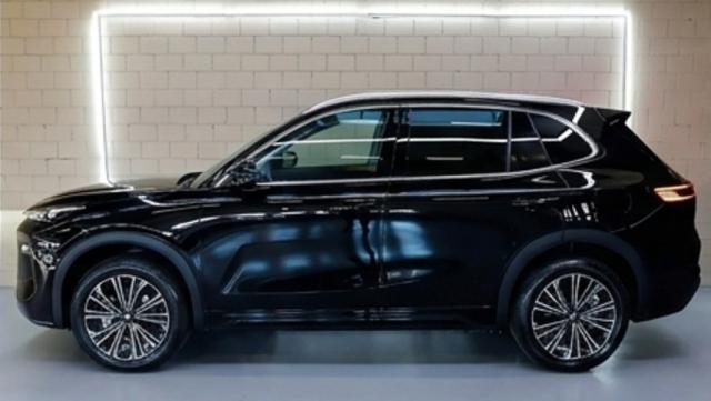 Geely Starray image 5