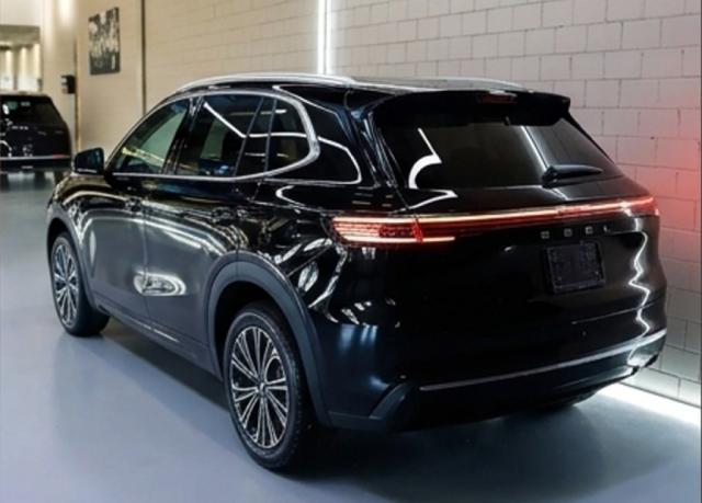 Geely Starray image 1