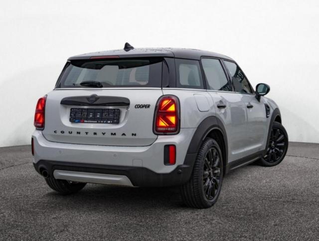 Mini Countryman image 6