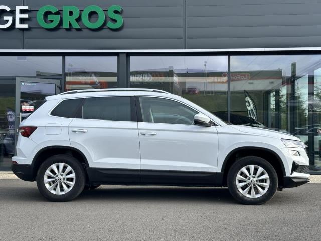 Skoda Karoq image 1