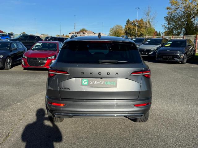 Skoda Karoq image 2