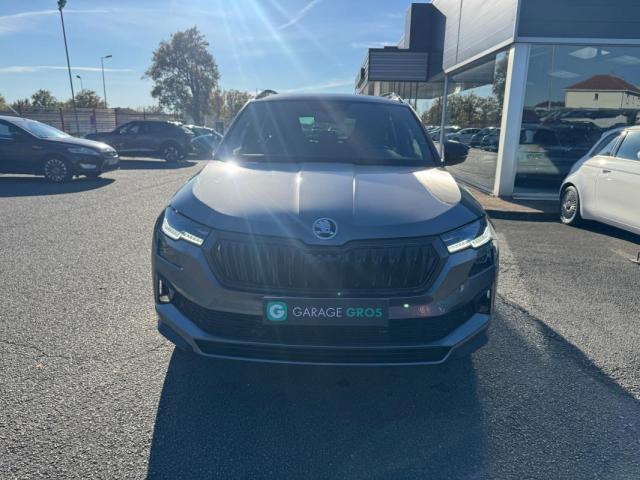 Skoda Karoq image 1