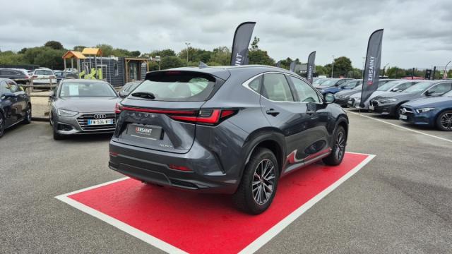Lexus Nx image 8
