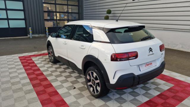 Citroen C4 Cactus image 3