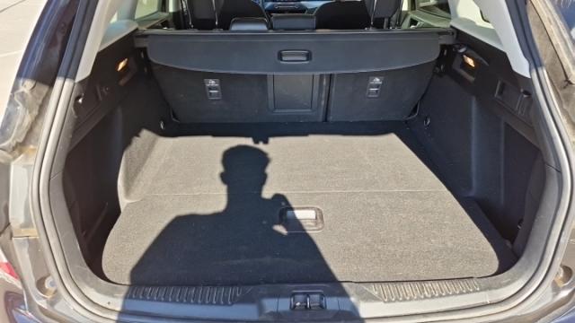 Ford Focus image 5
