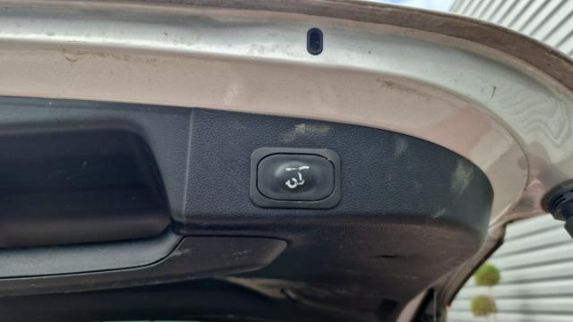 Ford Focus image 5