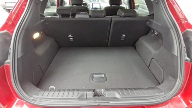 Ford Puma image 8