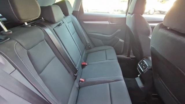 Skoda Karoq image 1