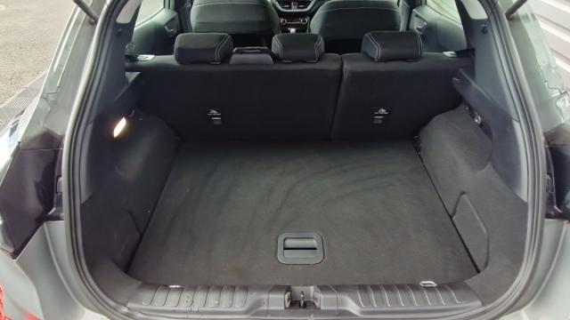 Ford Puma image 3