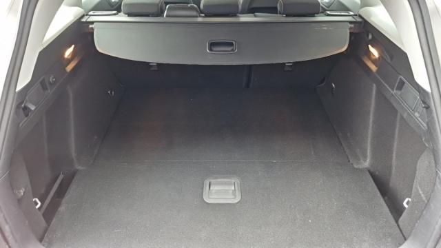 Ford Focus image 3
