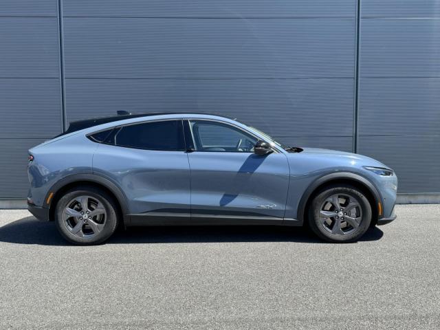 Ford Mustang image 1