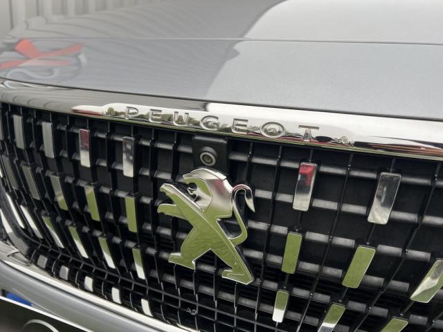 Peugeot 3008 image 1