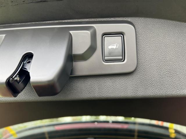 Renault Austral image 1