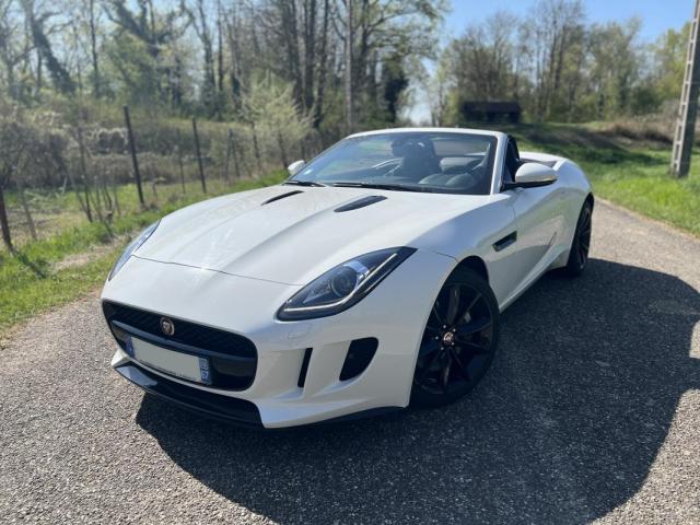 Jaguar