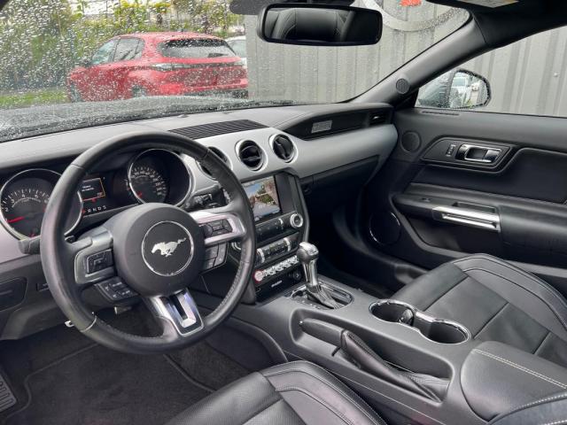 Ford Mustang image 4