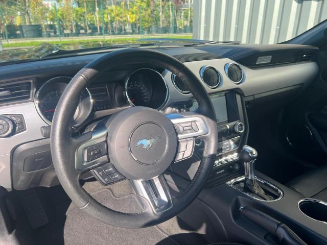 Ford Mustang image 6