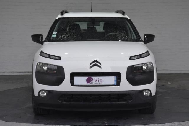 C4 Cactus image 8