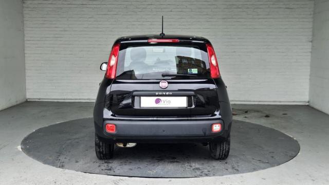 Fiat Panda image 4