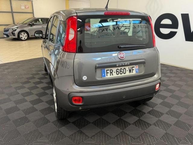 Fiat Panda image 7