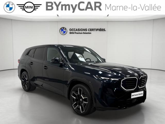 Bmw Xm image 7