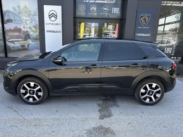 Citroen C4 Cactus image 3