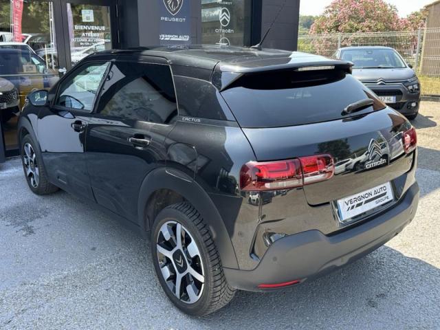 Citroen C4 Cactus image 6