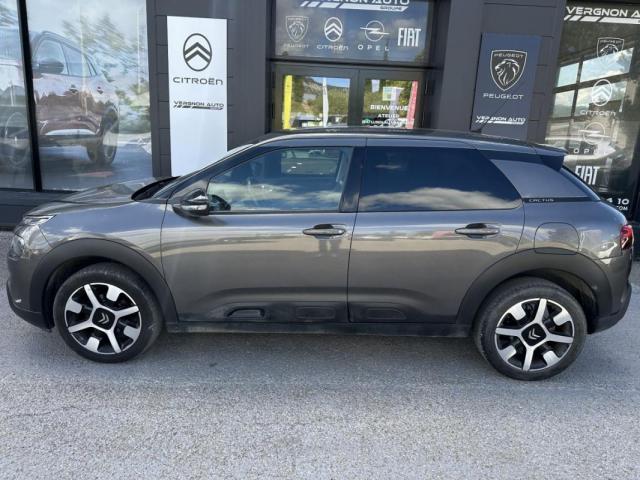 Citroen C4 Cactus image 9