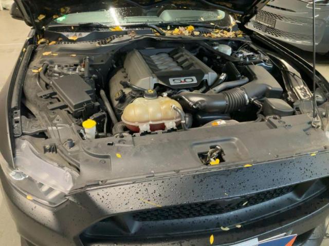 Ford Mustang image 1