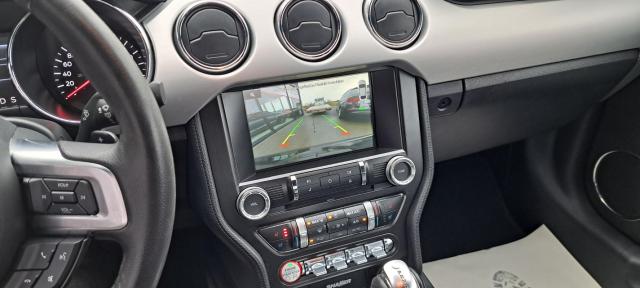 Ford Mustang image 2